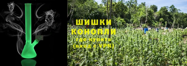 дмт Белокуриха