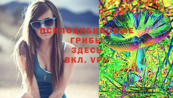 дмт Белокуриха