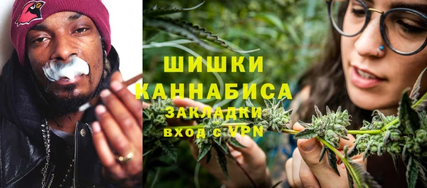 дмт Белокуриха