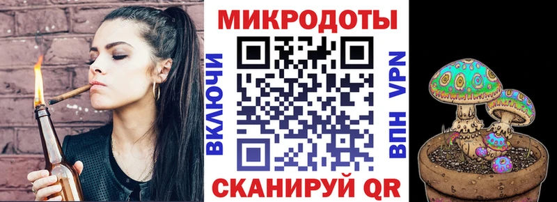 Псилоцибиновые грибы Psilocybine cubensis  Буинск 