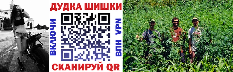 Бошки марихуана Bruce Banner Буинск